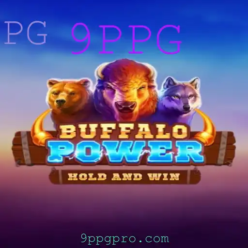 BuffaloPower: Descubra as Regras e Aventuras do Jogo
